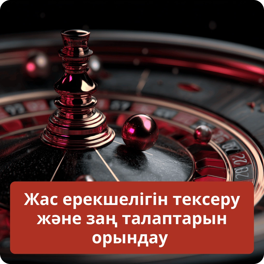 Жас ерекшелігін тексеру және заң талаптарын орындау