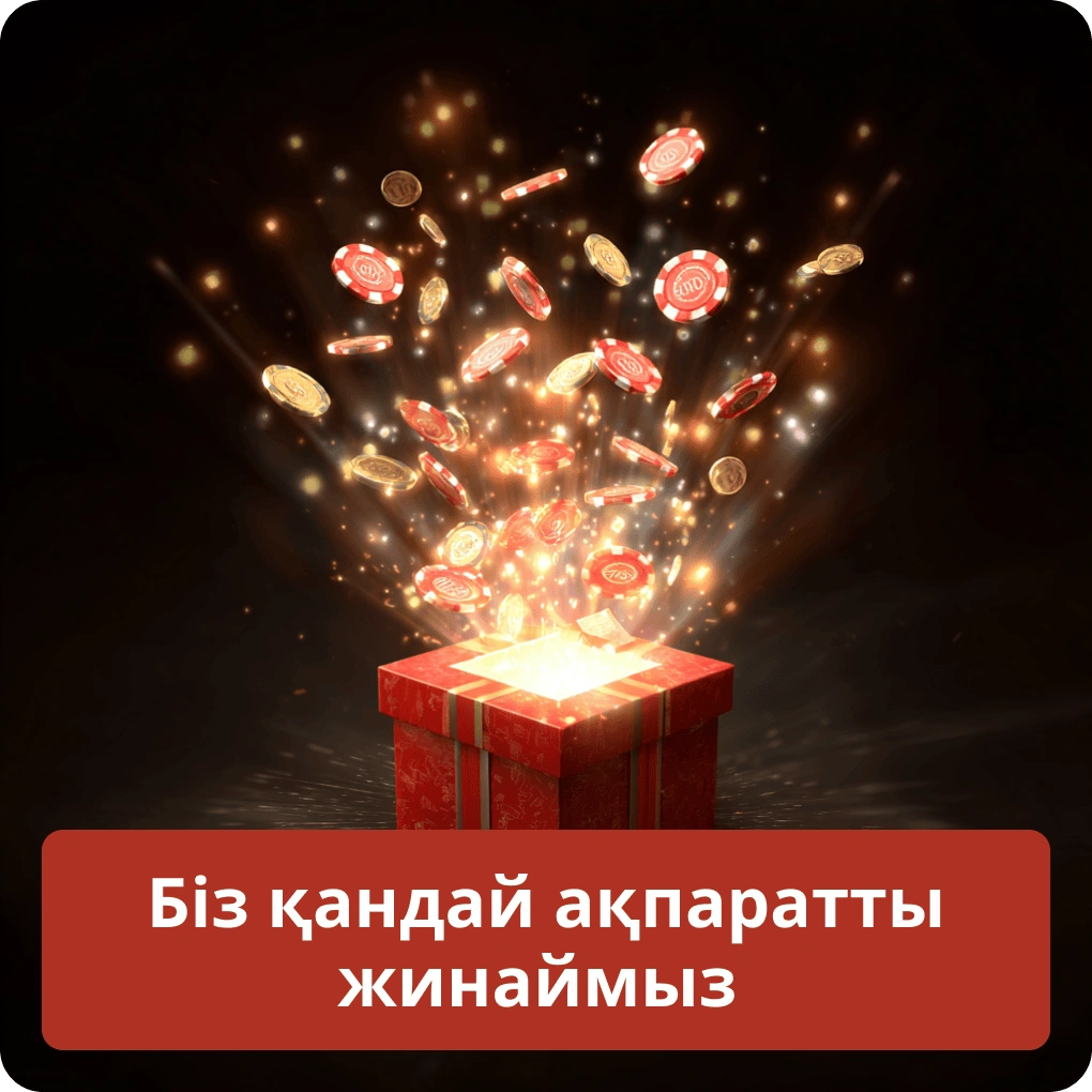 Біз қандай ақпаратты жинаймыз